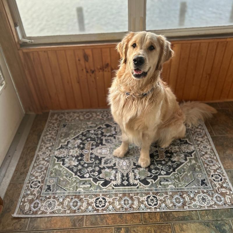Washable Dog Pee Pads